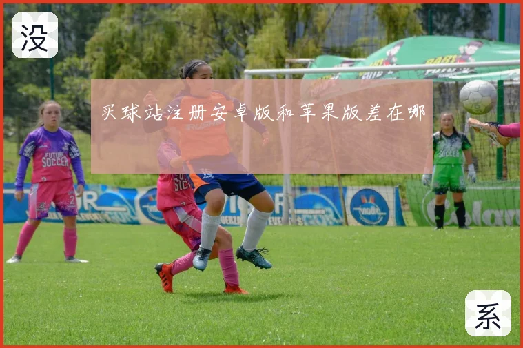 买球站注册安卓版和苹果版差在哪