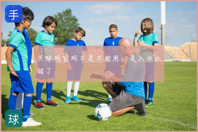 买球网官网不是不能用，是入口认错了